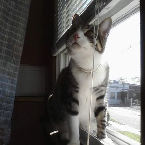 Meet your Posher, Marci